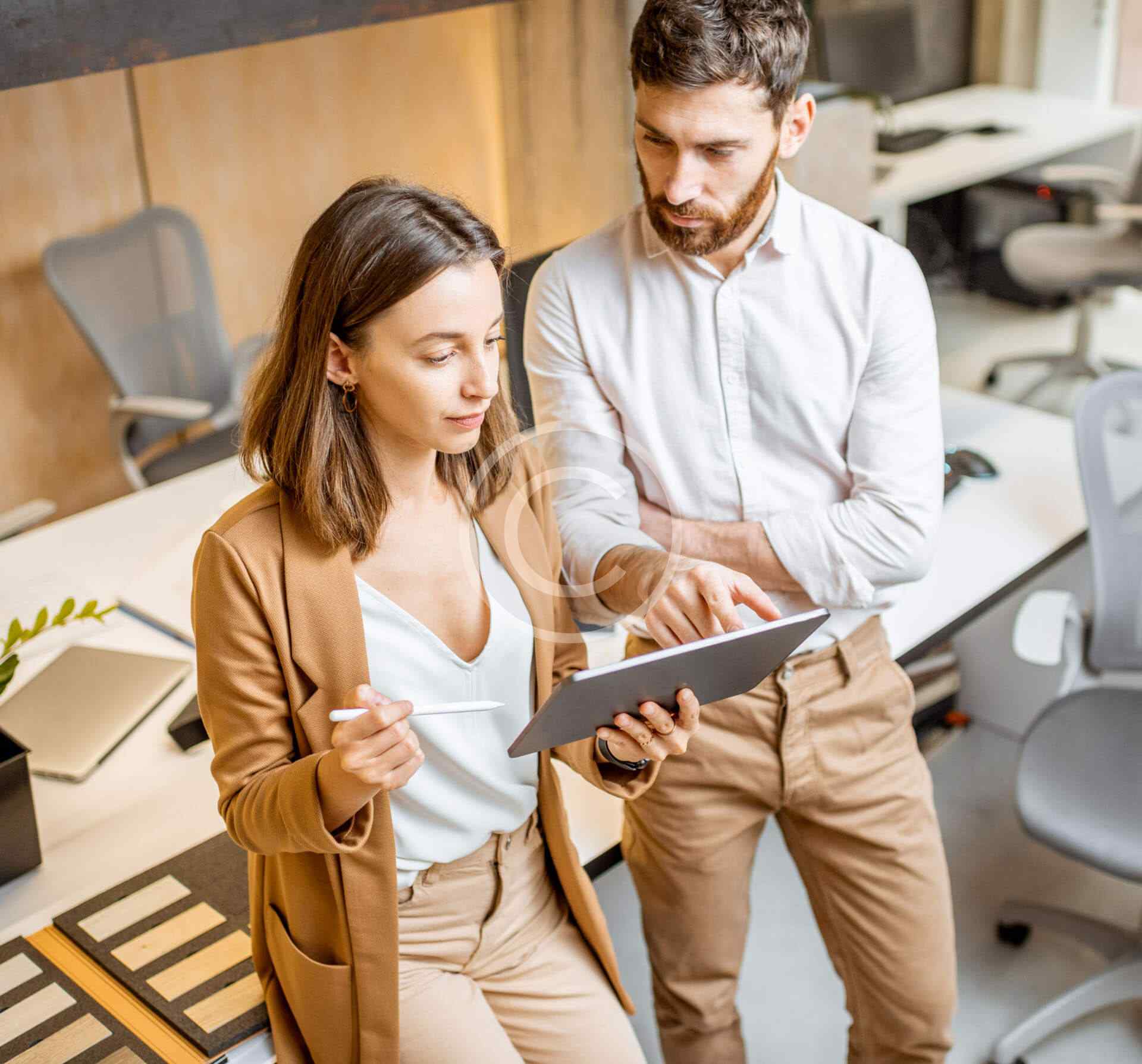 Government Transport Domination